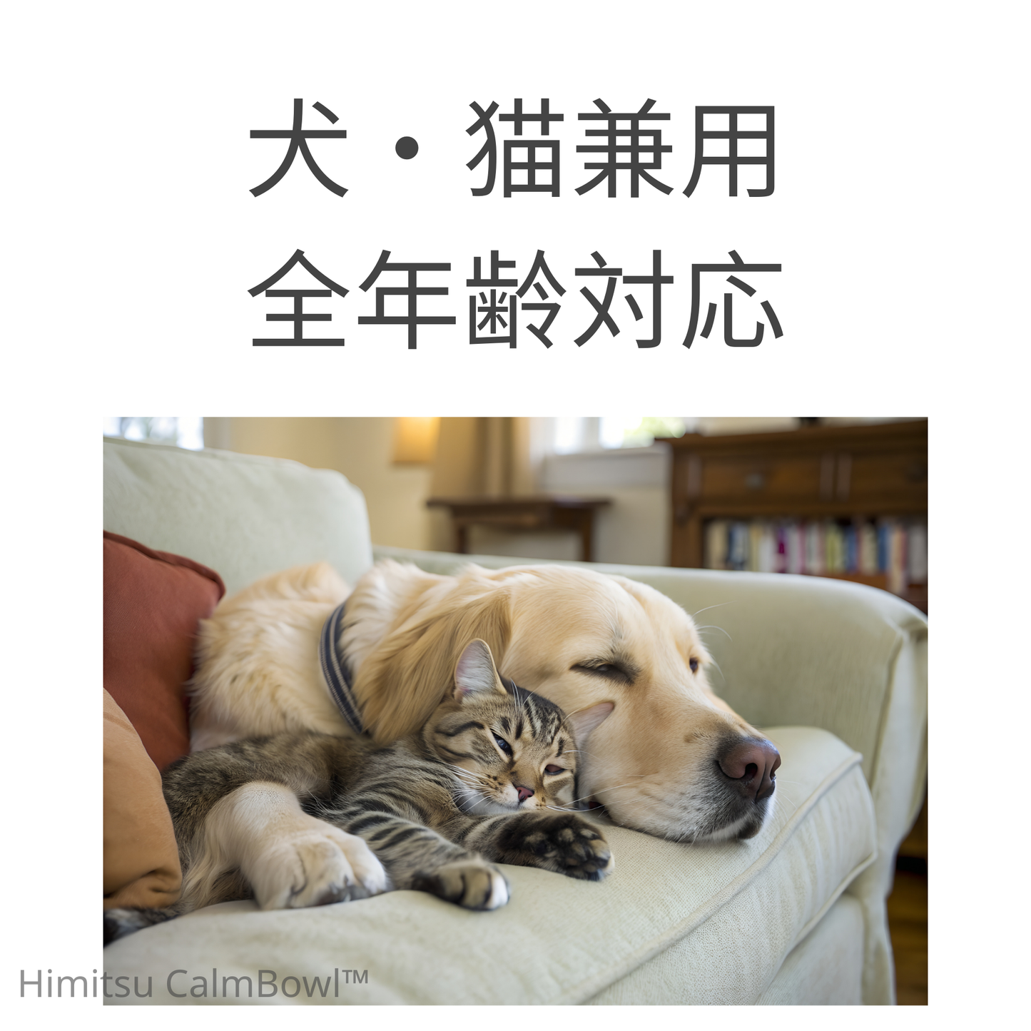 Himitsu CalmBowl™