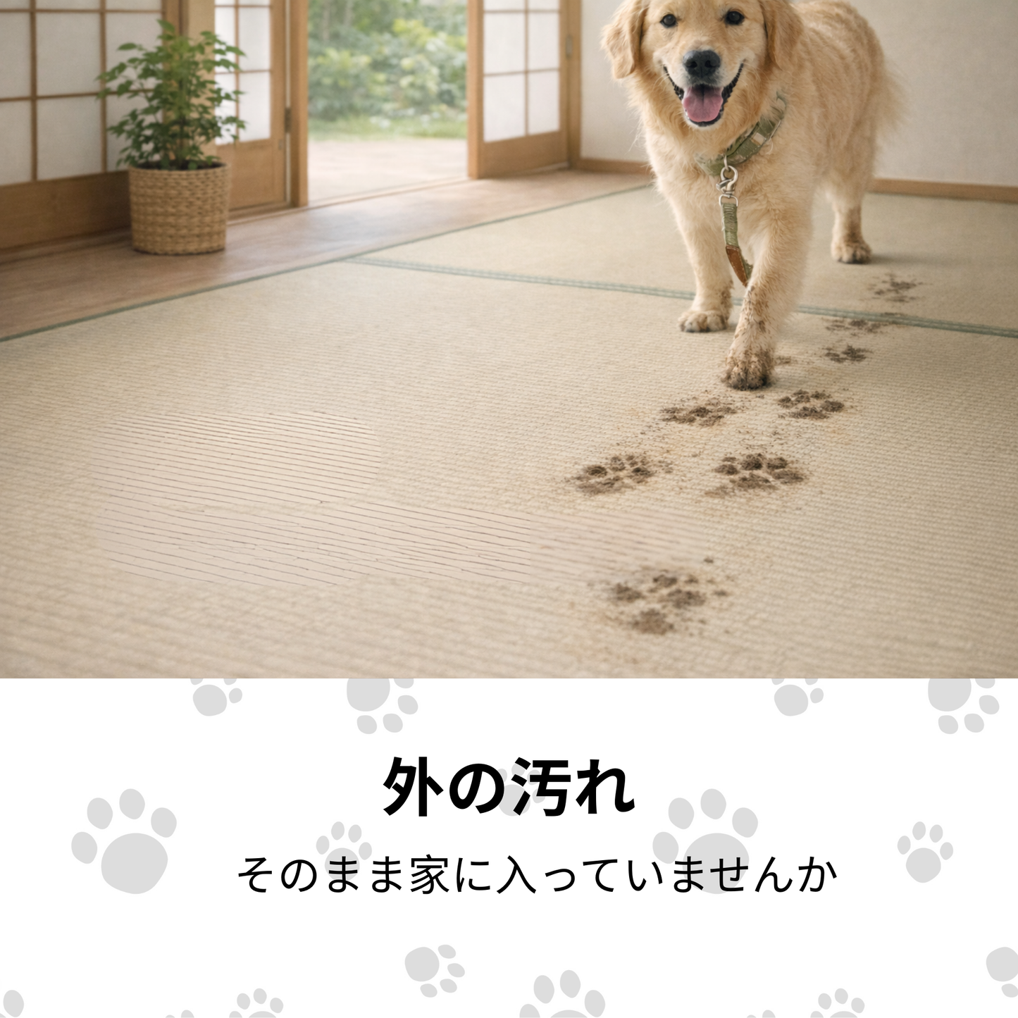 お散歩後ケア AshiClean™