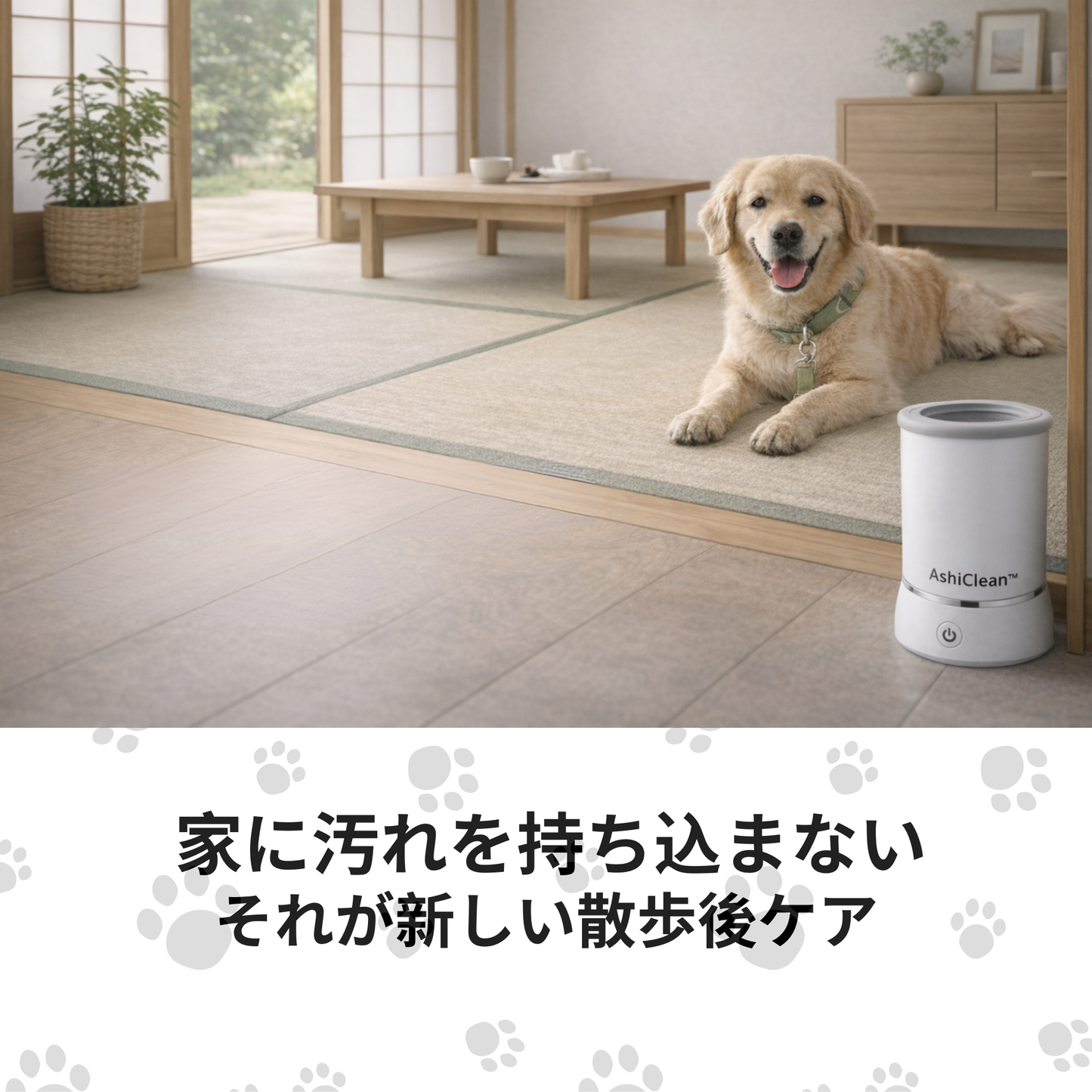 お散歩後ケア AshiClean™